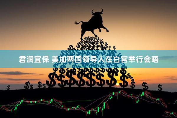 君润宜保 美加两国领导人在白宫举行会晤
